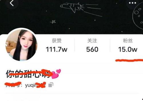 四川网红爆料视频大全最新,揭秘网络红人幕后故事