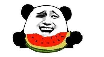 请你们免费吃瓜,快来加入我们！  第3张